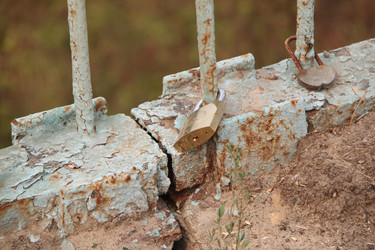 Similar image 238145