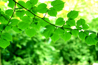 Similar image 238201