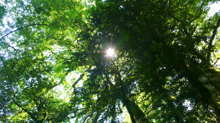 Similar image 238204