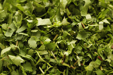 Similar image 238242