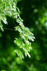 Similar image 238243