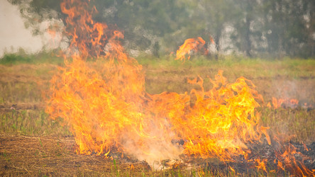 Similar image 238276