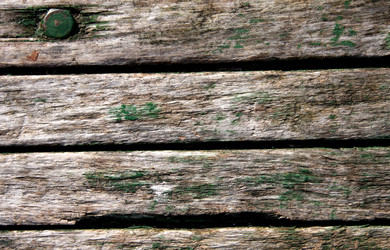 Similar image 238288