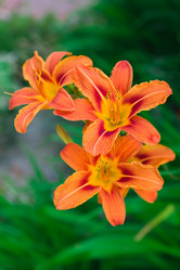 Similar image 238300