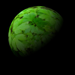 Similar image 238304