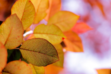 Similar image 238309