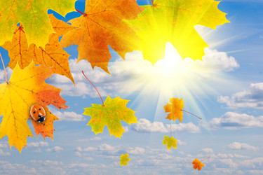 Similar image 238318