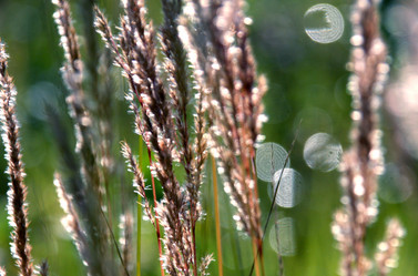 Similar image 238336