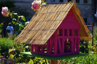 Similar image 238362