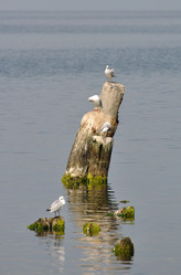 Similar image 238415