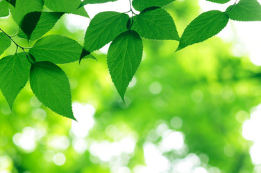 Similar image 238419