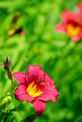 Similar image 238443