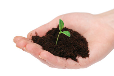 Similar image 238445