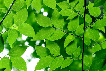 Similar image 238446