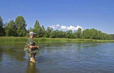 Similar image 238465