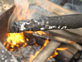 Similar image 238513