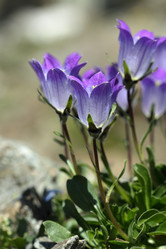 Similar image 238535