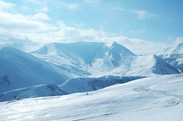 Similar image 238539