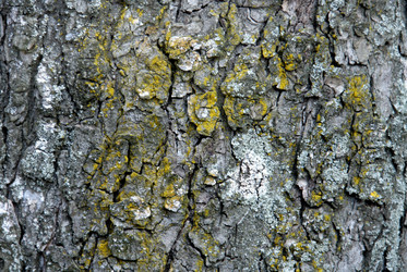 Similar image 238542