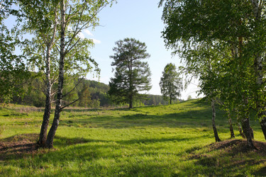 Similar image 238562