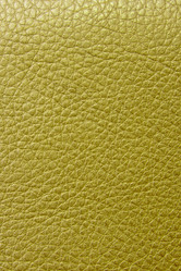 Similar image 238563