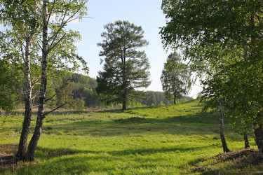 Similar image 238564