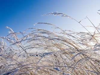 Similar image 238571