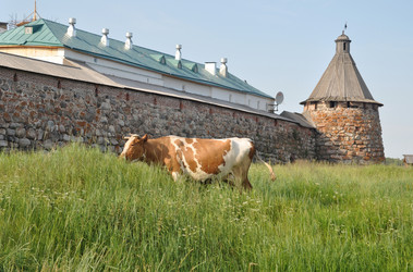 Similar image 238572