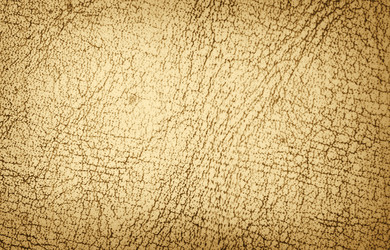 Similar image 238587