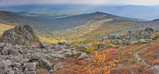 Similar image 238597