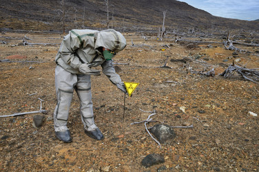 Similar image 238607