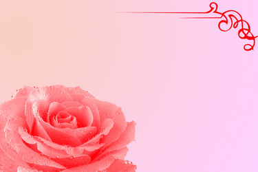 Similar image 238612