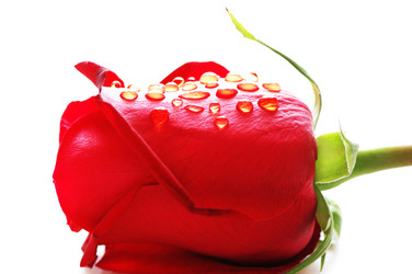 Similar image 238633