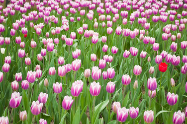 Similar image 238662