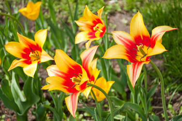 Similar image 238672