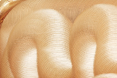 Similar image 238753