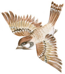 Similar image 238773