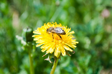 Similar image 238778