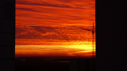 Similar image 238786