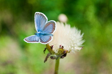 Similar image 238787