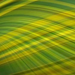 Similar image 238823