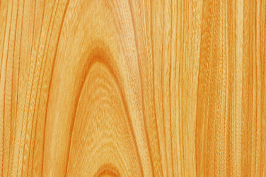 Similar image 238833