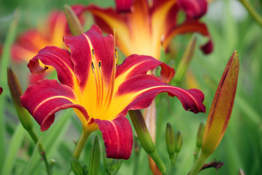 Similar image 238839