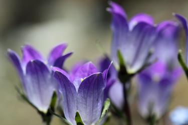 Similar image 238840