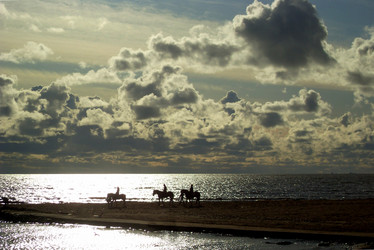 Similar image 238843