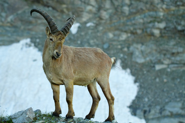 Similar image 238860