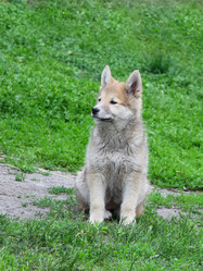 Similar image 238867