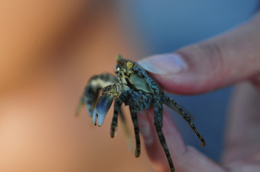 Similar image 238873