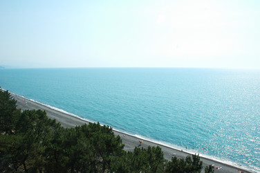 Similar image 238884