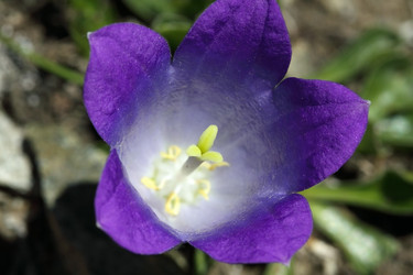 Similar image 238888